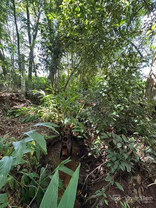 Área rural, foto 8