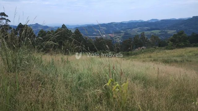 Área rural, foto 3