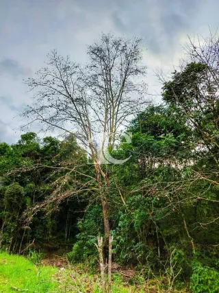Área rural, foto 17
