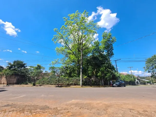 Terreno