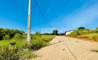 Vista da estrada e vegetação em Lajeado, Brasil.