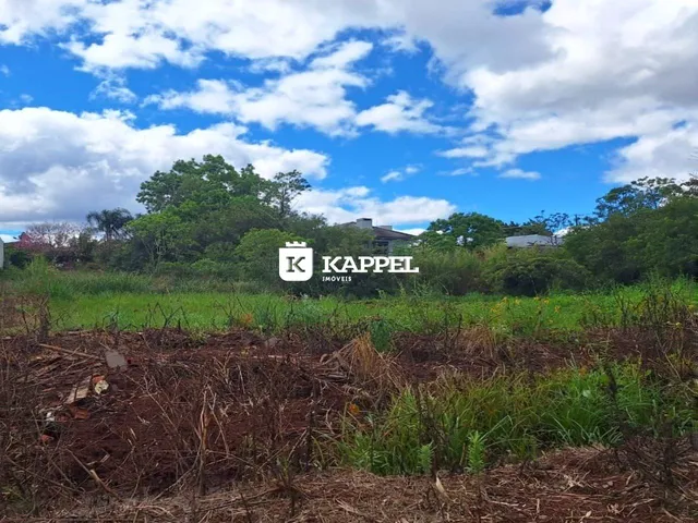 Paisagem de terreno com vegetação rasteira e árvores ao fundo.