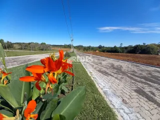 Terreno, foto 8
