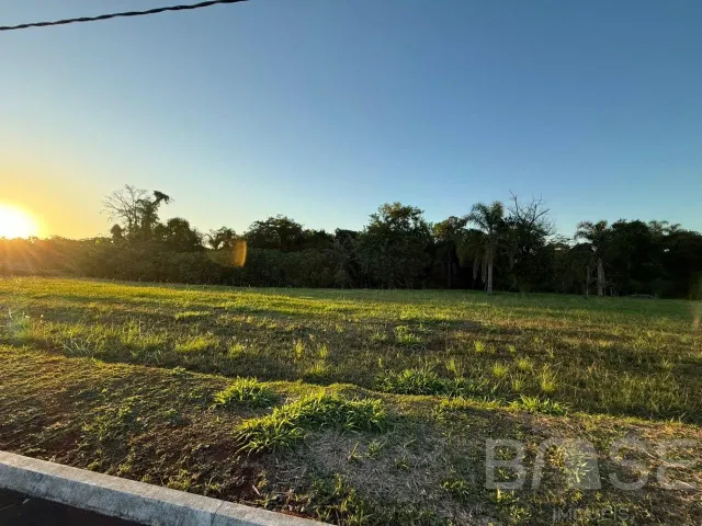 Terreno