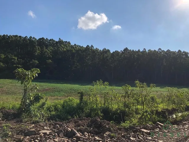 Terreno, foto 4