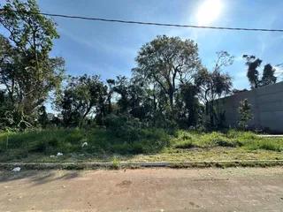 Paisagem externa com vegetação densa e estrada de terra.