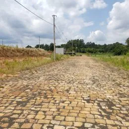 Vista de um caminho de terra em uma área de campo.