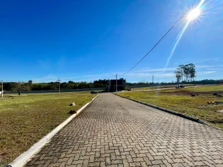 Terreno, foto 27