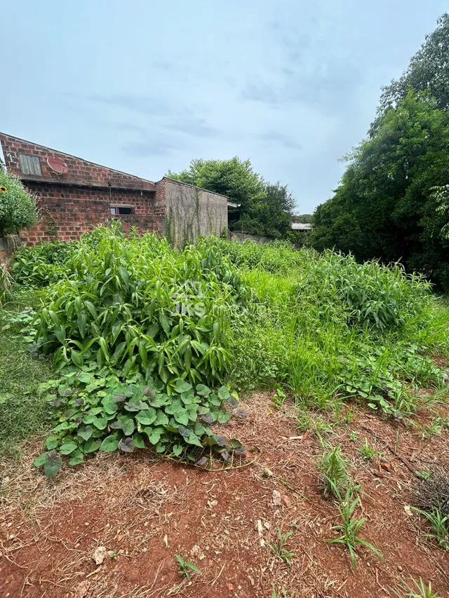 Terreno, foto 3