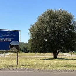 Terreno, foto 11