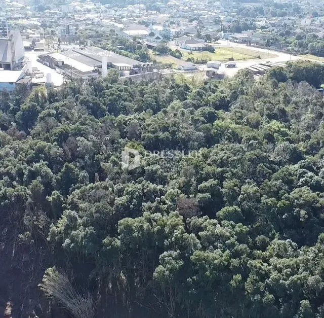Área rural, foto 3