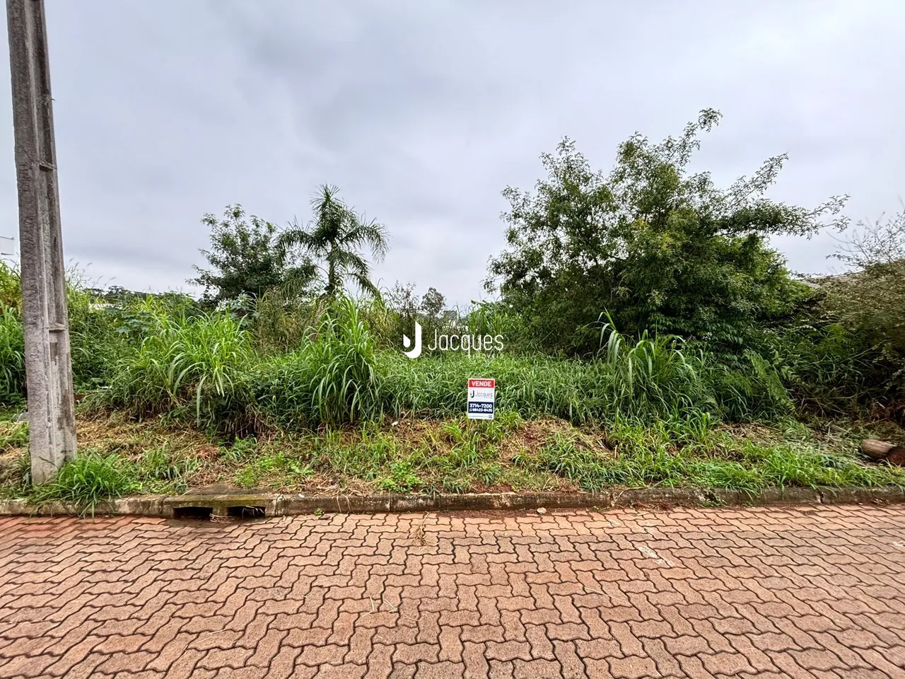 Vista externa da propriedade com vegetação densa e pavimento de tijolos.