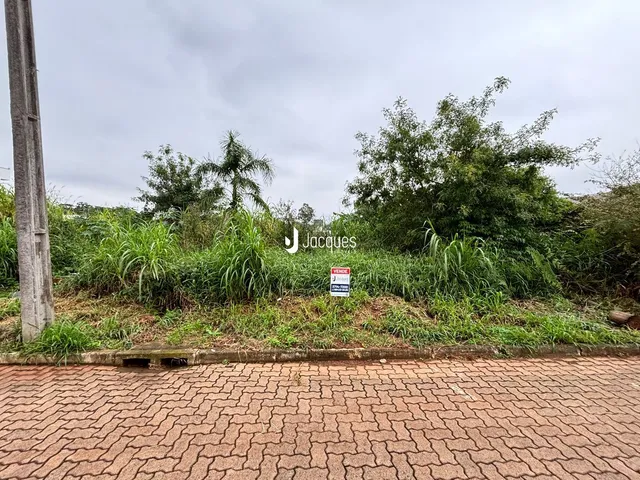 Vista externa da propriedade com vegetação densa e pavimento de tijolos.