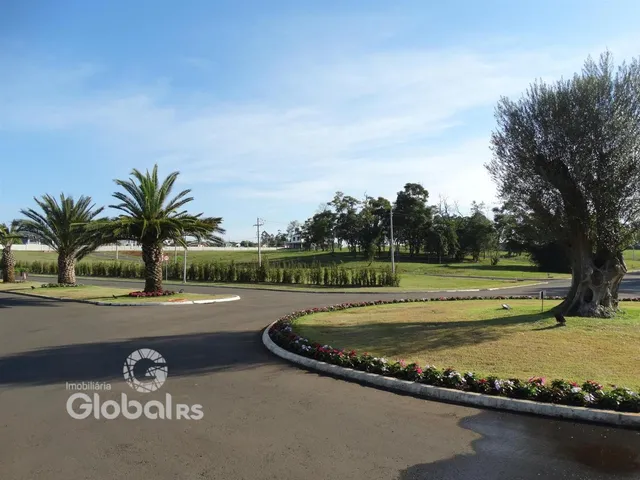 Vista da rua e paisagem com árvores e gramado em Lajeado.