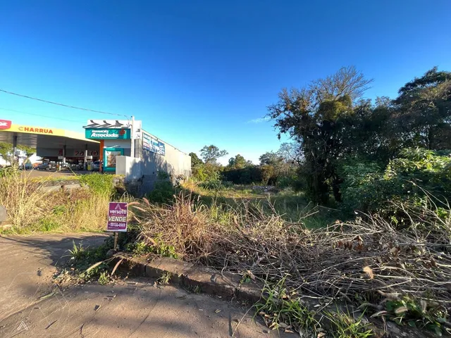 Terreno, foto 3