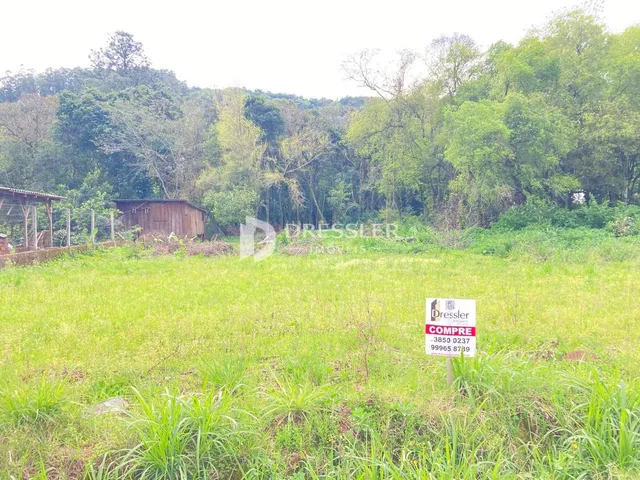 Terreno, foto 2