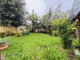 Vista externa de um jardim com grama verde e vegetação densa.