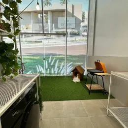Casa com 2 dormitórios, foto 12
