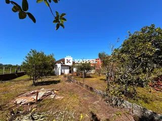 Área rural com 3 dormitórios, foto 4
