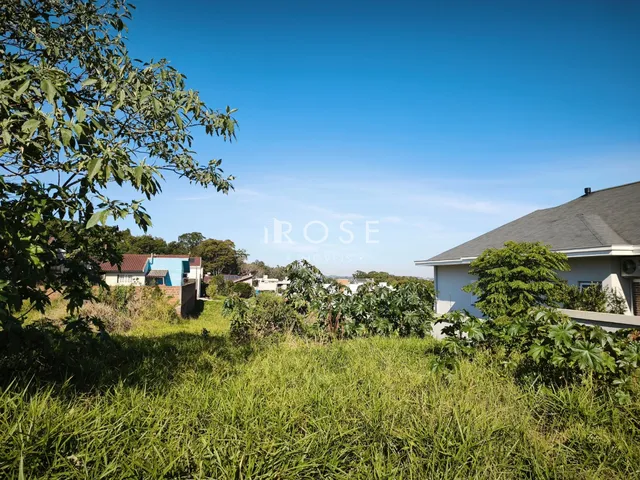 Terreno, foto 2
