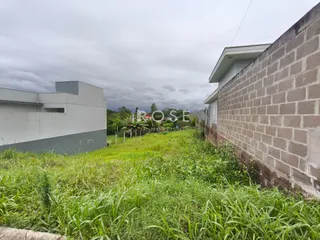 Vista externa de uma propriedade com muro alto e vegetação alta.