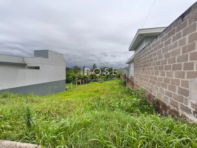 Vista externa de uma propriedade com muro alto e vegetação alta.