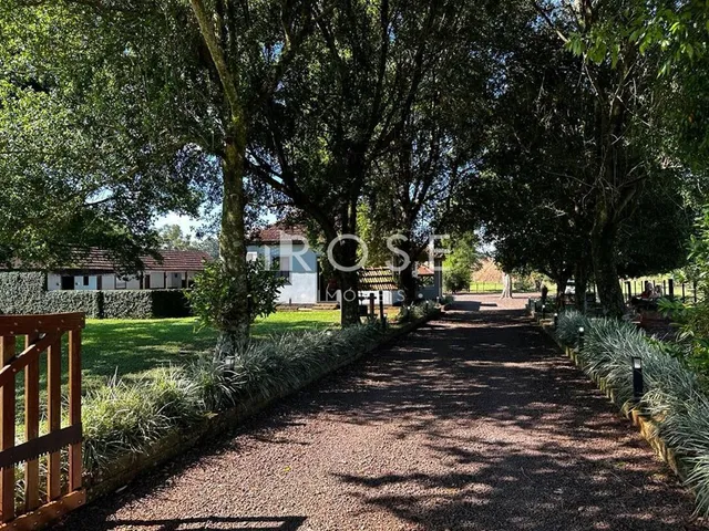 Área rural com 3 dormitórios, foto 2