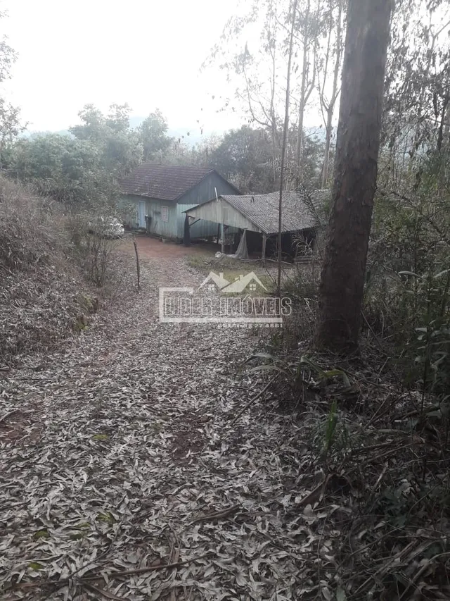 Área rural