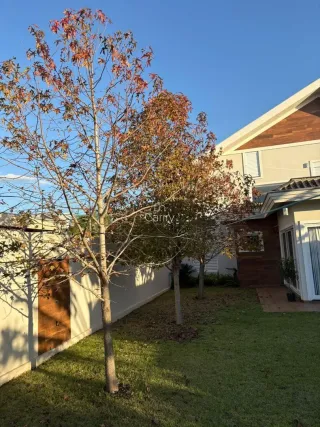 Casa com 3 dormitórios, foto 36