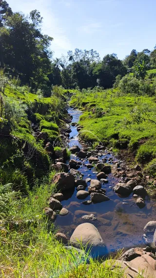 Vista de um riacho com vegetação exuberante em uma área rural.