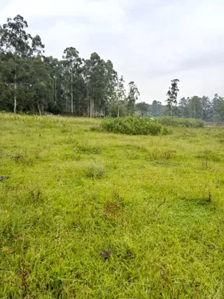 Área rural, foto 3
