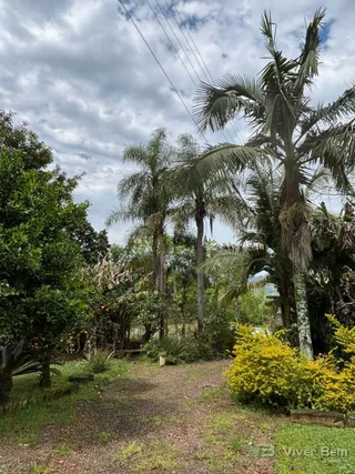 Área rural com 2 dormitórios, foto 4