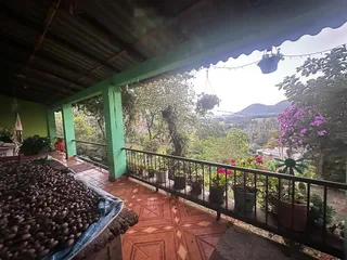 Área rural com 3 dormitórios, foto 6
