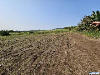 Área rural com 3 dormitórios, foto 11