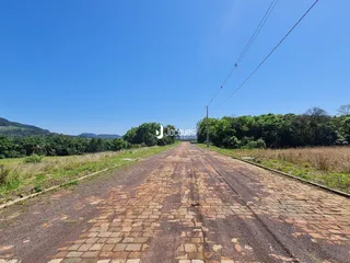 Vista de uma estrada rural com vegetação ao redor.