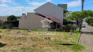 Terreno, foto 1