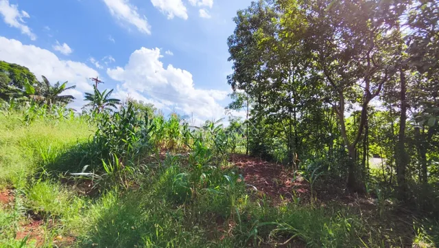 Área rural, foto 3