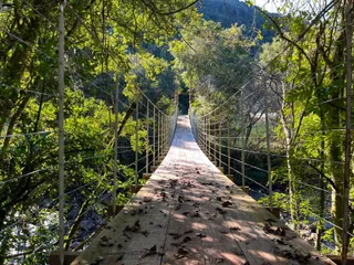 Ponte de madeira sobre um rio cercado por vegetação densa.