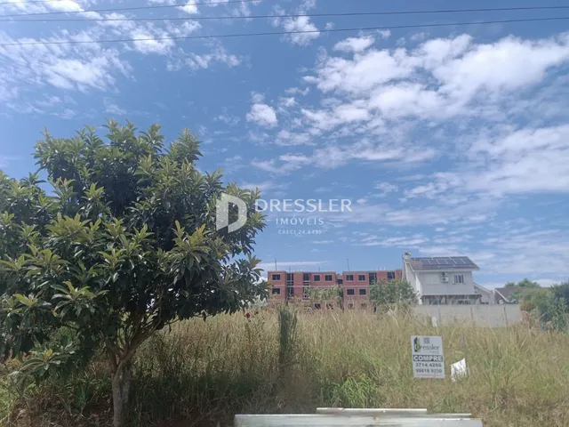 Vista externa de uma propriedade com vegetação e campo aberto.