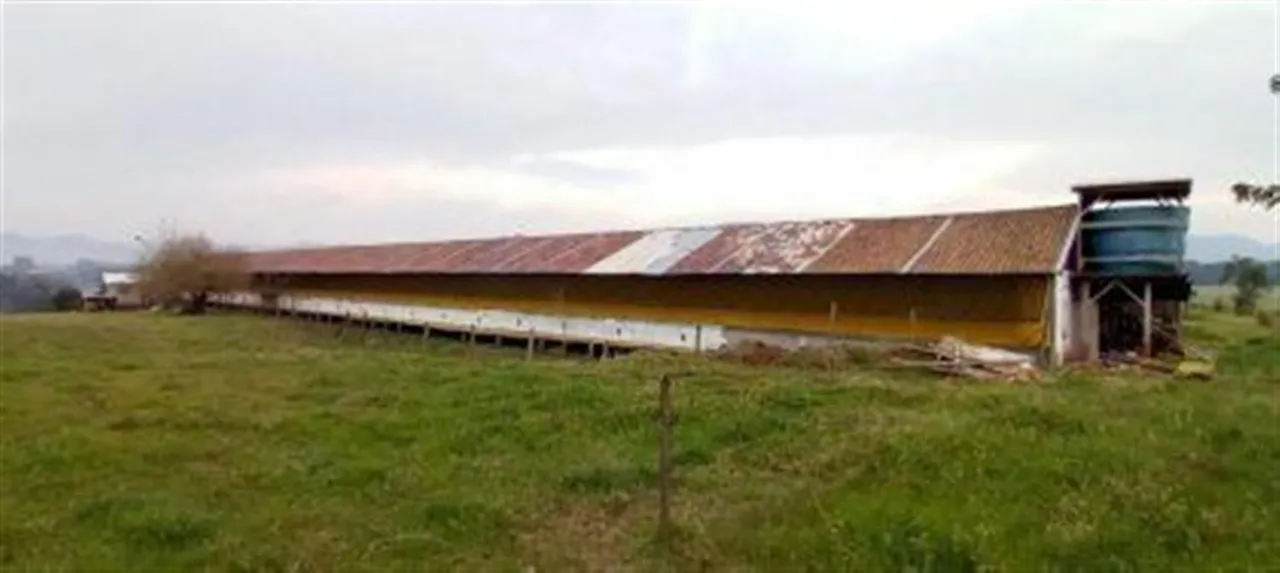 Área rural, foto 1