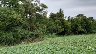 Terreno, foto 1