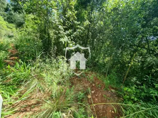 Área rural, foto 9