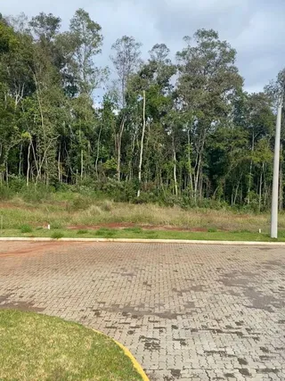Terreno, foto 3