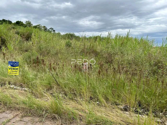 Terreno, foto 3