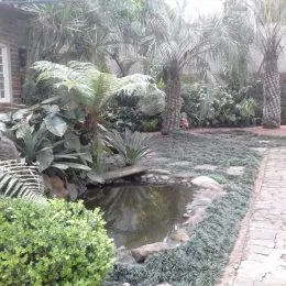 Casa com 3 dormitórios, foto 11