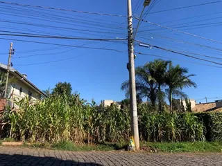 Terreno, foto 4