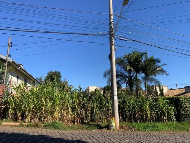 Terreno, foto 4