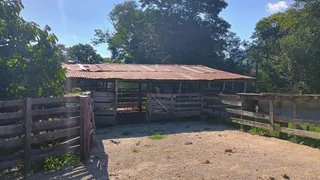 Área rural com 3 dormitórios, foto 13