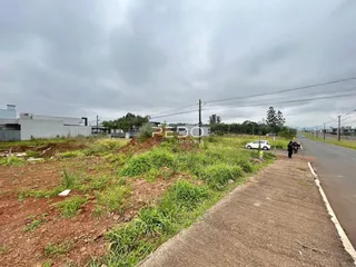 Vista externa de um terreno com vegetação densa ao lado de uma estrada.