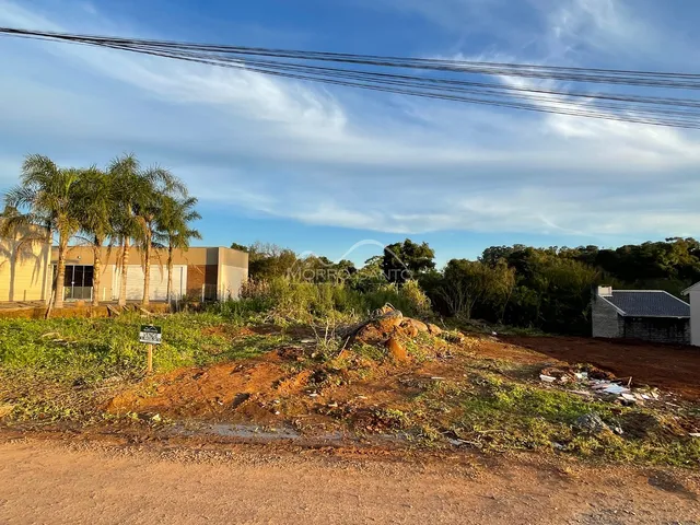 Vista externa de uma propriedade com vegetação e uma estrada de terra.